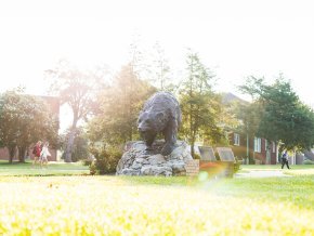 The Charge bear statue, located on campus, is seen in the early morning light.