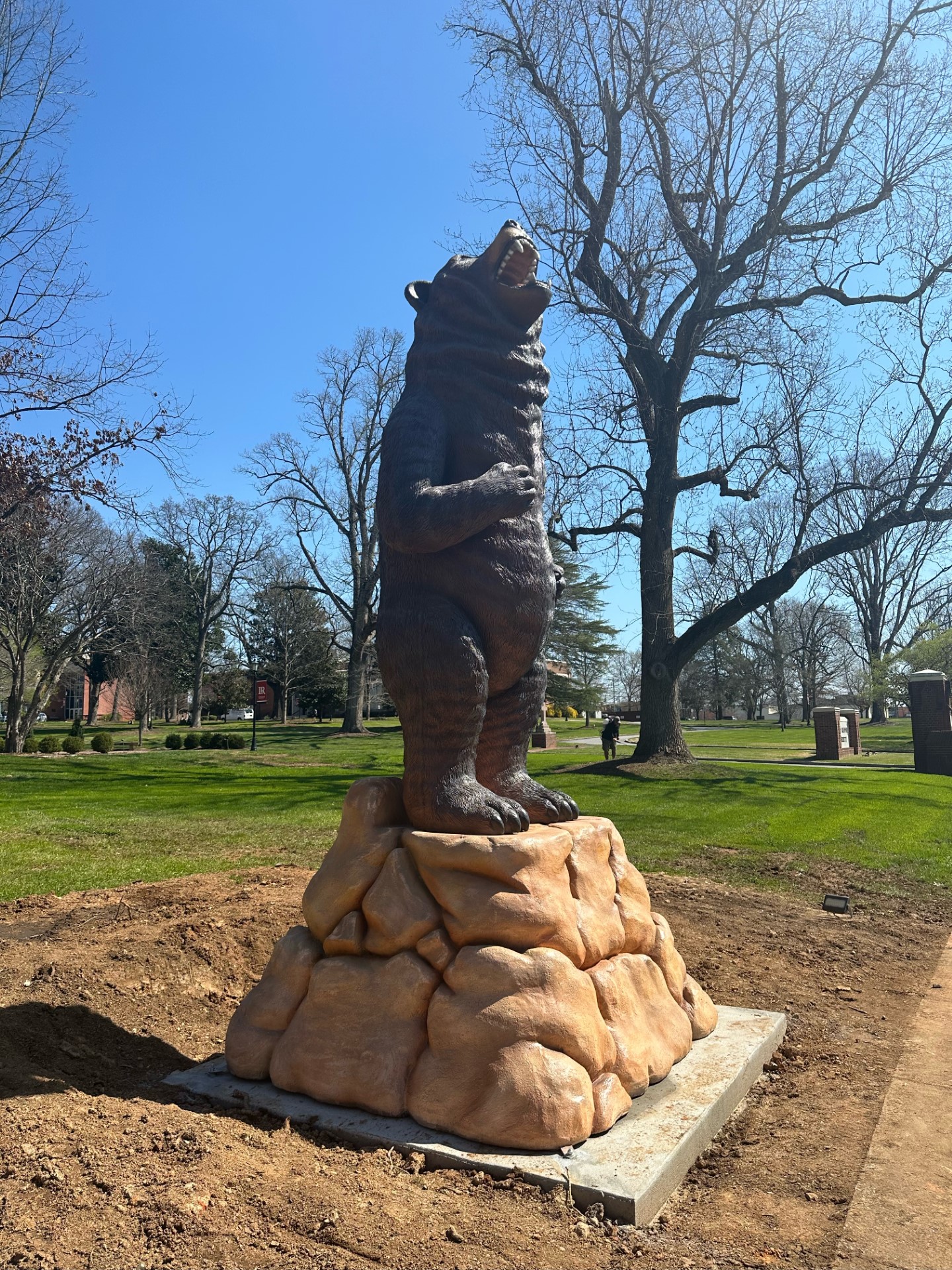 Bear statue on campus