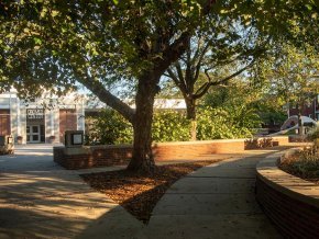 Sidewalk leading to Cromer Center in the shadow of trees during summer