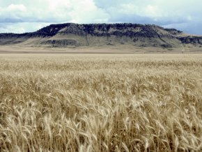 Rocky Boy’s Reservation located in north central Montana. Photo courtesy of USDA Natural Resource Conservation Service. 