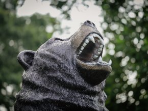 Close up of bear statue's head