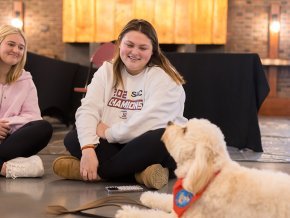 Two students sit with a fluffy golden therapy dog in Cromer Center